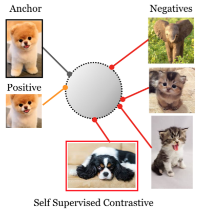 image-20210519210735692